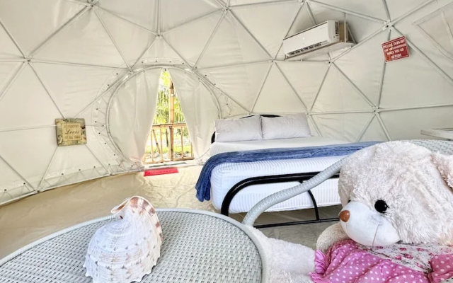 Eco-Treehouse Glamping Services