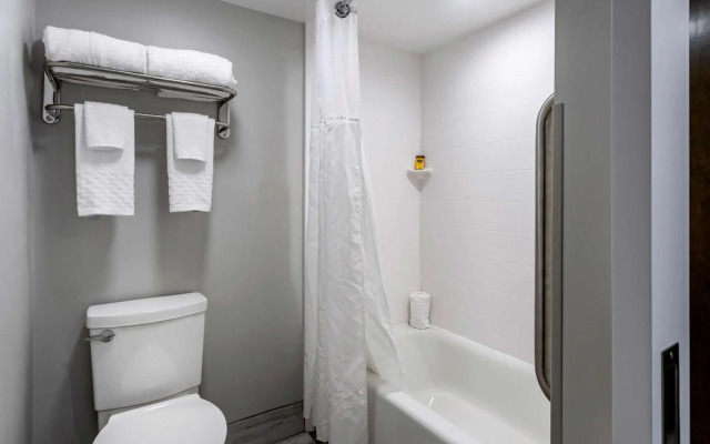 Hotel Roosevelt Condesa