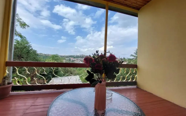 Guesthouse ''Door'' in Sighnaghi