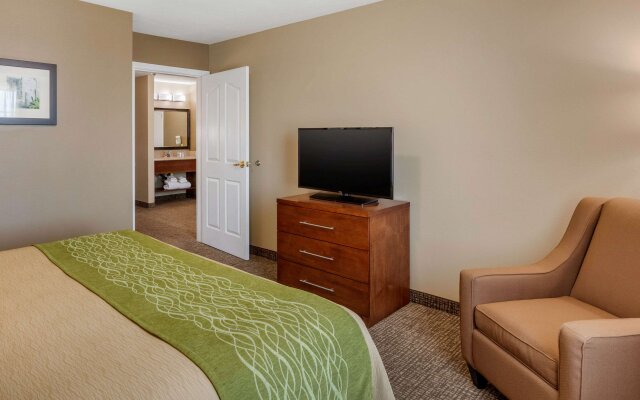 Comfort Inn & Suites El Centro I - 8