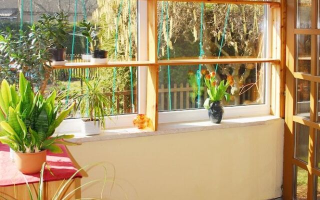 Pension Alter Zausel