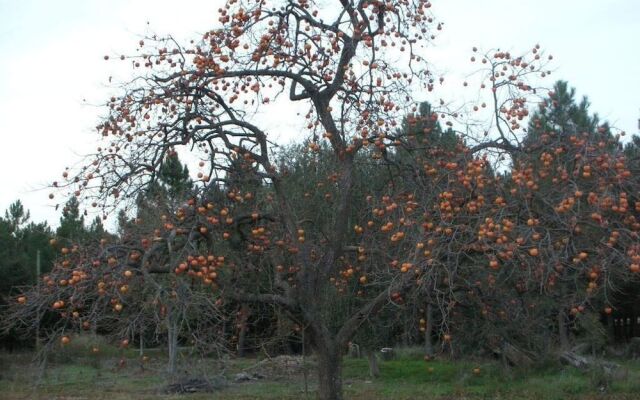Domaine de Nidolères