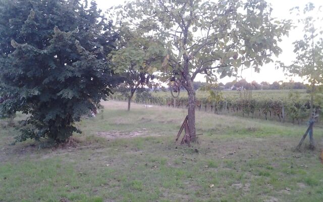 Au Vélo dans l'Arbre