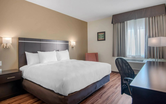 Econo Lodge Inn & Suites Springfield Main Street