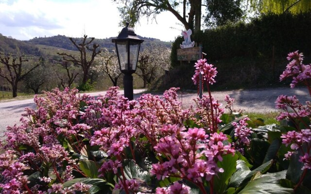 Agriturismo le Spighe - Fattoria Bertaccini