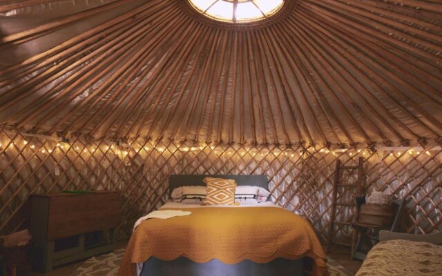 Mushroom Yurt set in 4 Acres of Woodland and Lakes