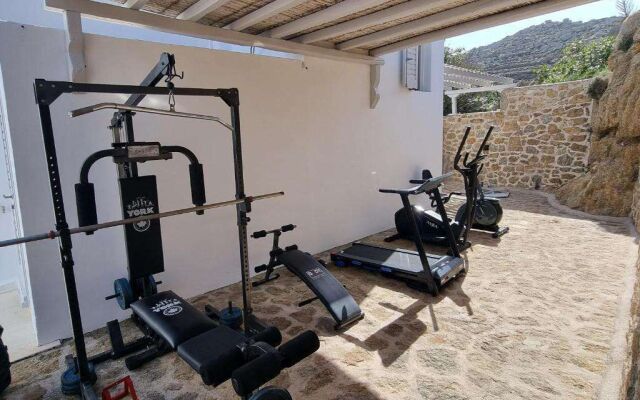 Villa Irene Mykonos