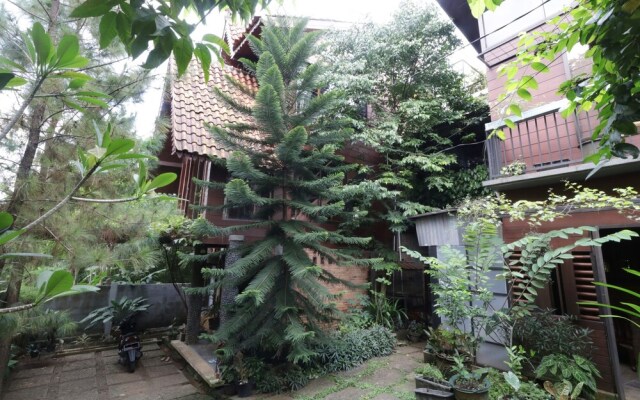 NILA HOUSE, Sharia Family Home Stay