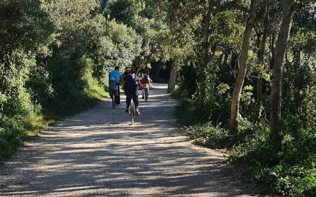 Vila Tena Rovinj Croatia