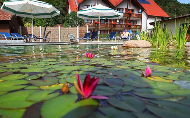 Hotel & Gasthof Zur Linde