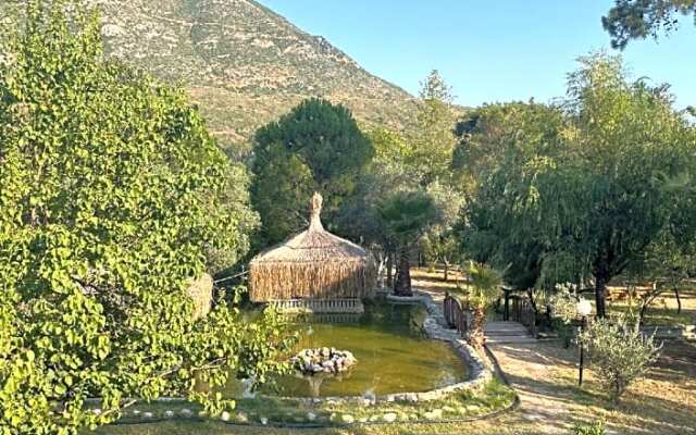 Olympos Paradi̇se Hotel