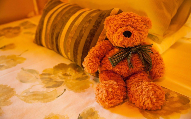 Tamborine Mountain B&B