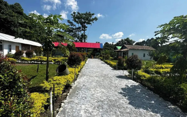 Falcon Jungle Resort