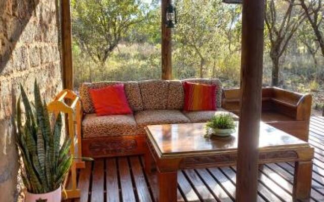 Five Pebbles on Piece of Africa