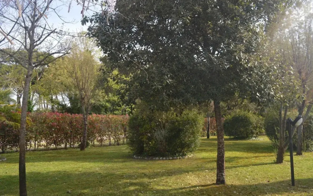Il Glicine 3