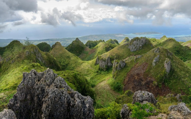 Moalboal Tropics