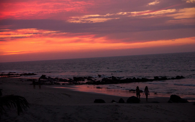 Hoja de Palma Bungalows
