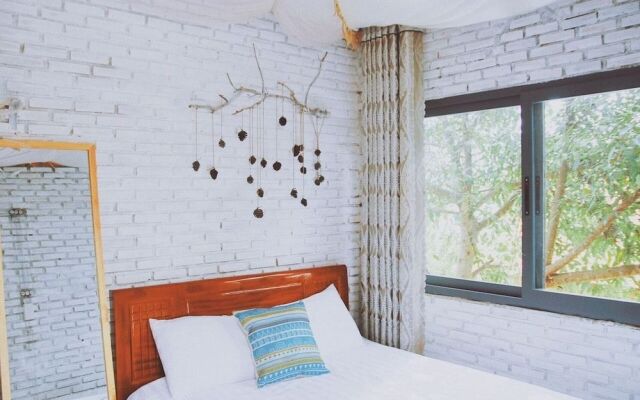 Mint Haus