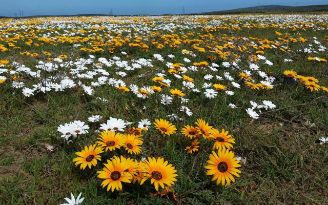 Thali Thali Game Lodge
