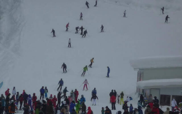 Studio in Hotel Flora Borovets