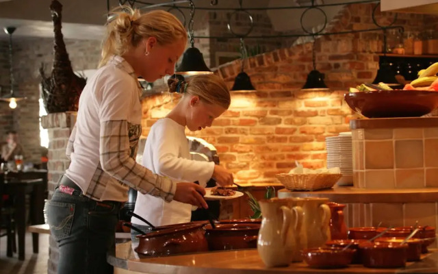 Detached Villa With Fireplace on Texel