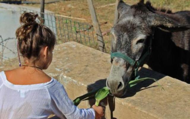 Casa do Vale da Lama EcoHotel & Retreat Centre in a farm