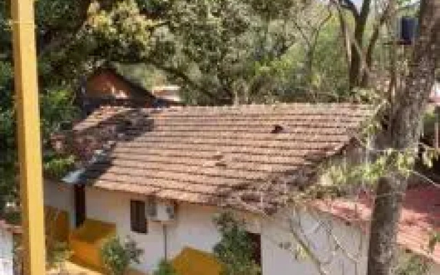 De Aluizio