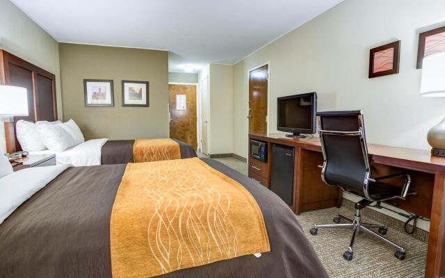 Comfort Inn & Suites Clemson - University Area