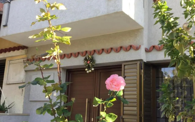 Nikola's House