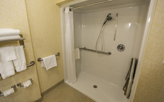 Holiday Inn & Suites Asheville Downtown