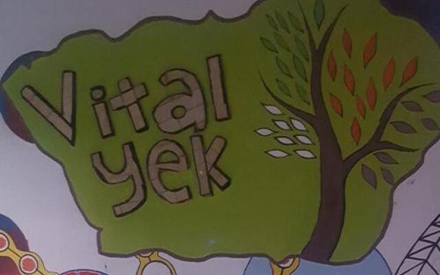 Hostal Vital Yek