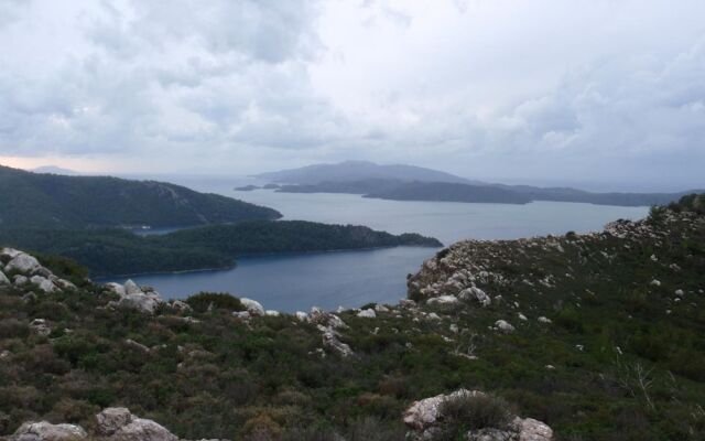 Sakin Vadi Winehouse