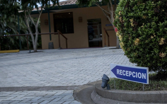 Hotel Palma de Oro
