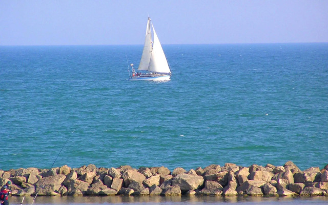 L'Oliveraie