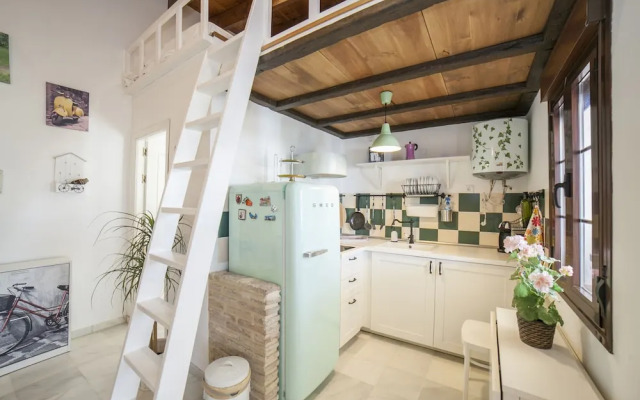 Alohamundi Castilla Iii