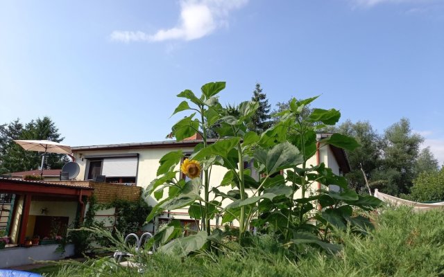 Apartment in Alt Bukow With Garden