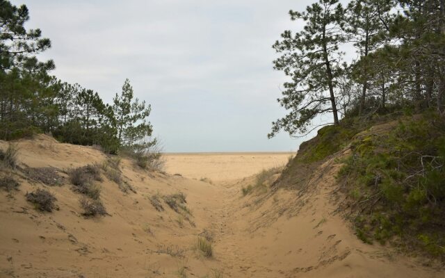 Spacious Villa in Lignano Pineta - Beahost Rentals