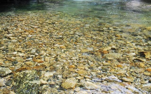 Gapyeong Smurf House Unshared House Pension