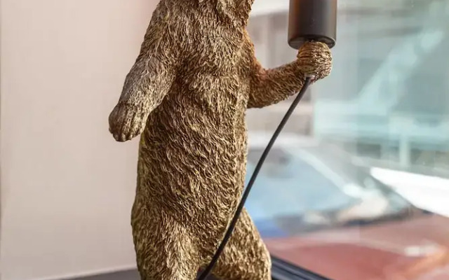 The Bear and Ween