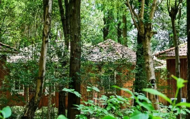 Daqian Swanlake Manor