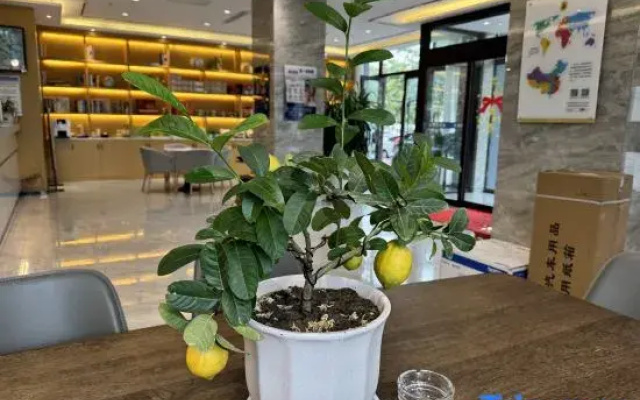 Super 8 Collection Hotel (Longnan Tanchang Guan'egou Branch)