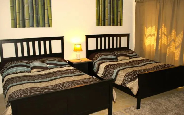 South Beach Modern House