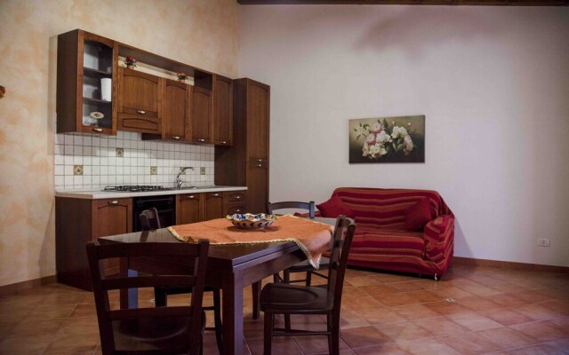 House surrounded by olive trees
