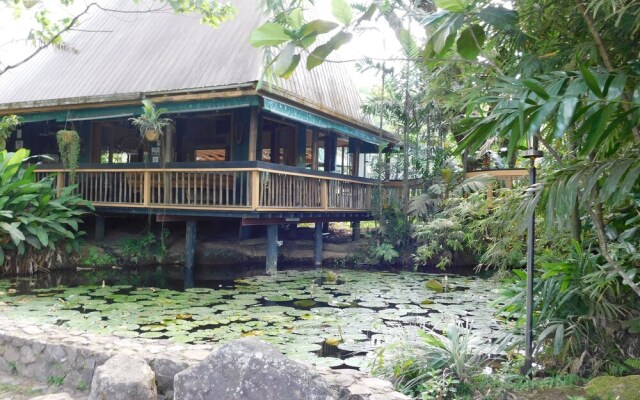 Colo I Suva Rainforest Eco Resort