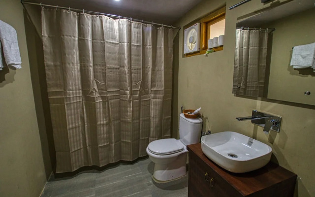 Chalet Seabuckthorn