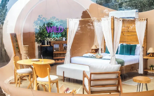 Zion Bubble Glamping
