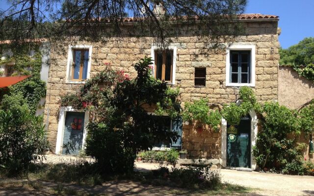 L'Orca Di San Gavinu