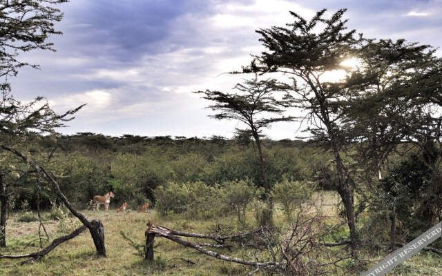 Encounter Mara Camp