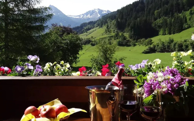 Komfort-Bauernhof Zittrauerhof 4 Blumen GASTEIN