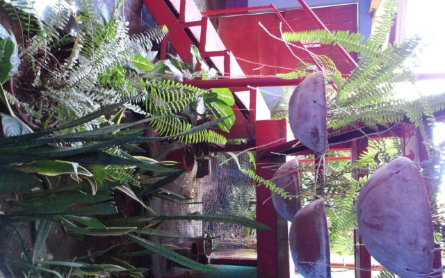 Nicaragua Guest House